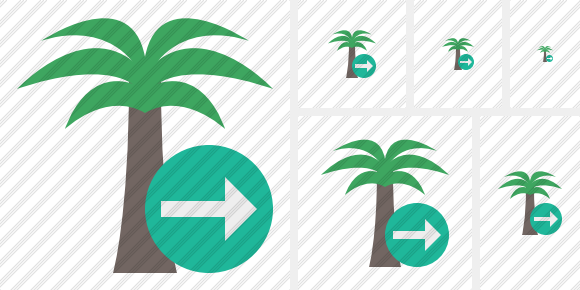 Palmtree Next Symbol