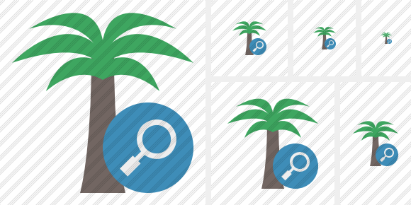 Palmtree Search Icon