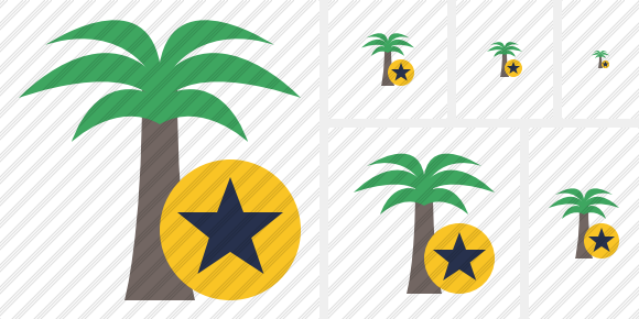 Palmtree Star Icon