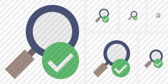Search Ok Icon Search Ok Icon