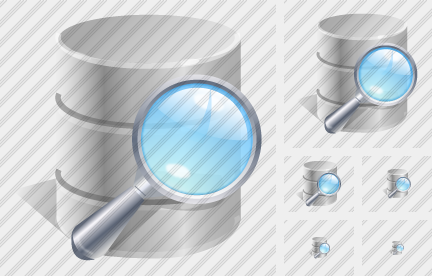 Database Search Icon