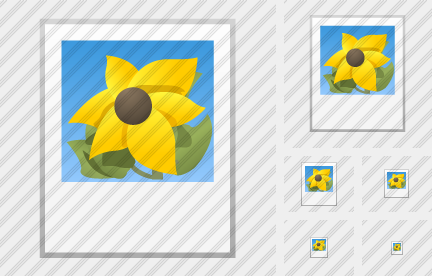 Thumbnail Symbol Thumbnail Symbol