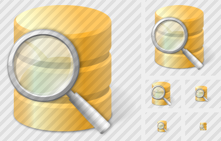 Database Search Icon Database Search Icon