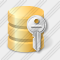 Icône Database Key