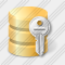 Database Key Icon