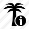 Palmtree Information Icon