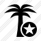 Palmtree Star Icon