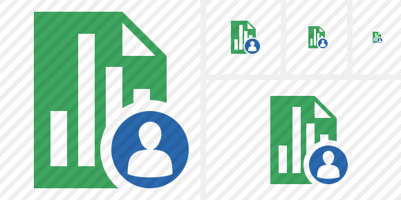 Document Chart User Icon Document Chart User Icon