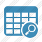 Database Table Search Icon