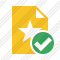 File Star Ok Icon