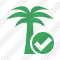 Palmtree Ok Icon