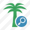 Palmtree Search Icon