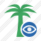 Palmtree View Icon