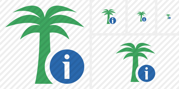 Palmtree Information Icon Palmtree Information Icon