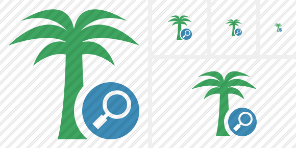 Palmtree Search Icon Palmtree Search Icon