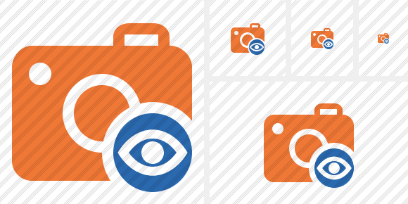 Photocamera View Icon