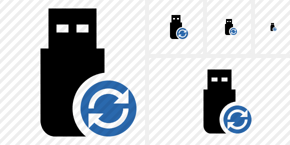 Flash Drive Refresh Icon