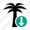 Palmtree Download Icon