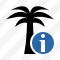 Palmtree Information Icon