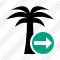 Palmtree Next Icon