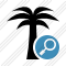 Palmtree Search Icon