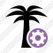 Palmtree Settings Icon