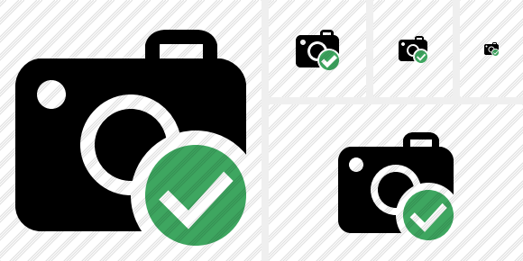 Photocamera Ok Icon