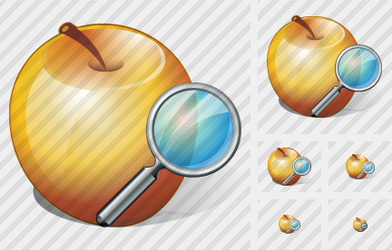Apple Search Icon Apple Search Icon