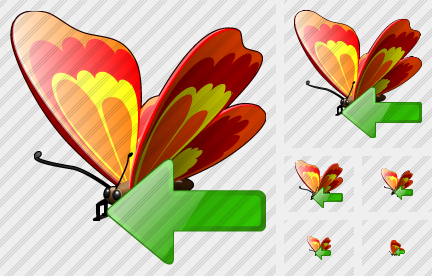 Butterfly Import Icon