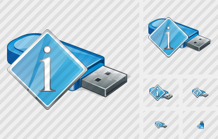 Flash Drive Info Symbol