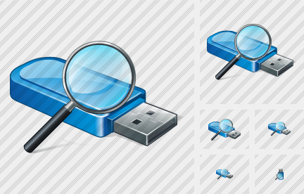 Icône Flash Drive Search 2