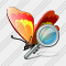 Butterfly Search Icon