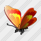 Butterfly Icon