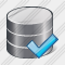 Database Ok Icon