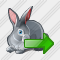 Rabbit Export Icon