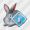 Icône Rabbit Info