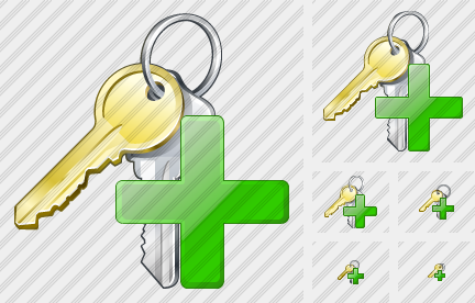 Keys Add Icon Keys Add Icon