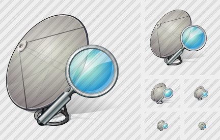 Satellite Plate Search Icon Satellite Plate Search Icon