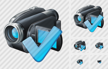 Video Camera Ok Icon Video Camera Ok Icon