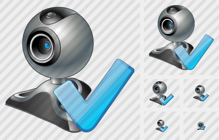 Web Camera Ok Symbol Web Camera Ok Symbol