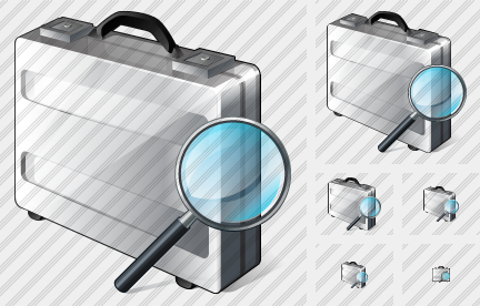 Icono Case Search 2