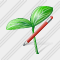Sprouts Edit Icon