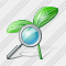 Sprouts Search Icon