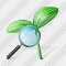 Sprouts Search 2 Icon