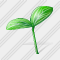 Sprouts Icon