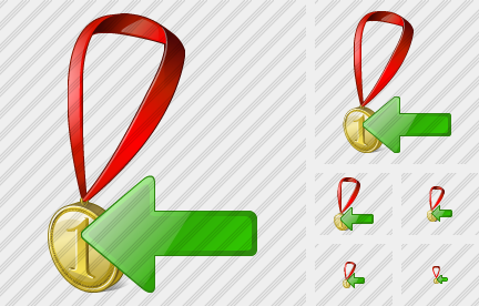 Medal Import Icon Medal Import Icon
