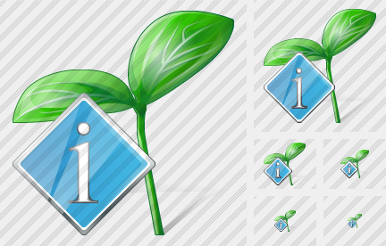 Sprouts Info Icon