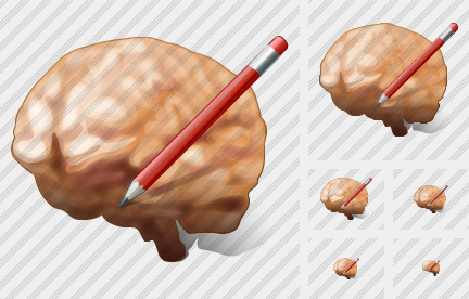 Brain Edit Icon Brain Edit Icon