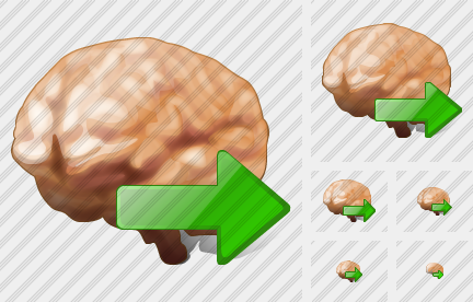 Brain Export Icon Brain Export Icon