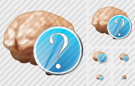 Brain Question Icon Brain Question Icon